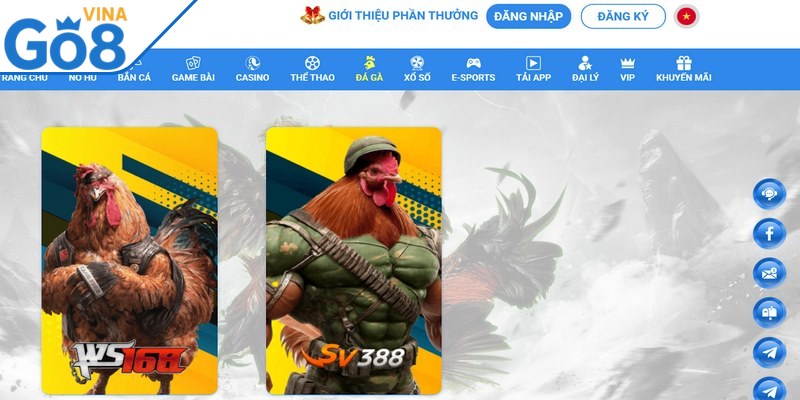 Đá gà Go8 là một trong những sảnh giải trí nổi bật được đầu tư bài bản