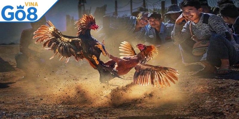 Yếu tố công bằng luôn được sân cược đặt lên hàng đầu