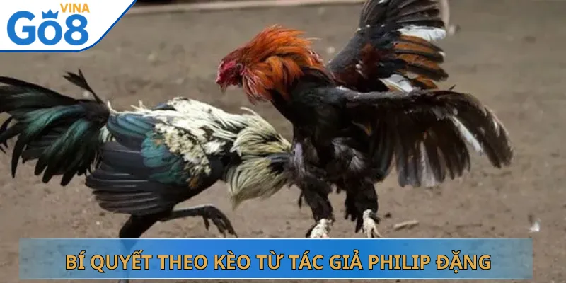 Bí Quyết Theo Kèo Từ Tác Giả Philip Đặng