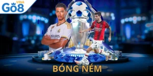 Bóng Ném