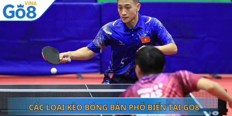 Các Loại Kèo Bóng Bàn Phổ Biến Tại Go8