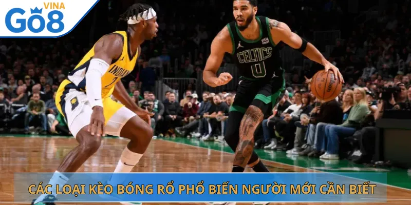 Các Loại Kèo Bóng Rổ Phổ Biến Người Mới Cần Biết