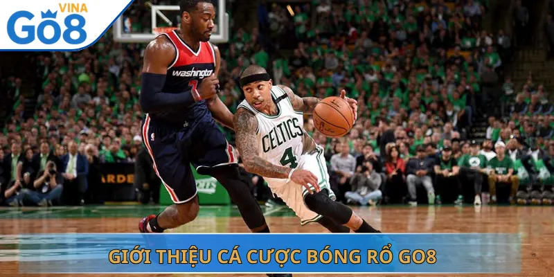 Giới Thiệu Cá Cược Bóng Rổ Go8