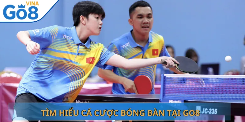 Tìm Hiểu Cá Cược Bóng Bàn Tại Go8